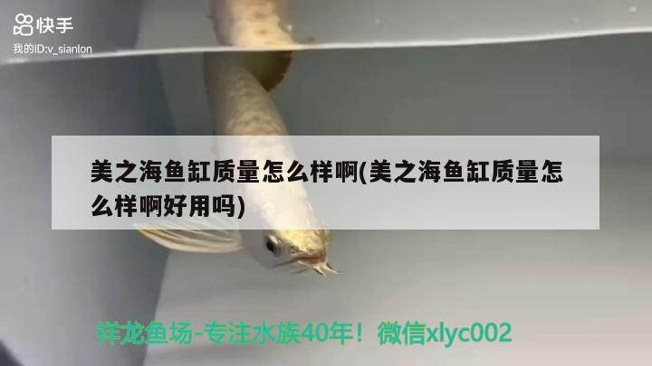 虎紋恐龍魚繁殖視頻大全教程（虎紋恐龍魚咬人嗎）