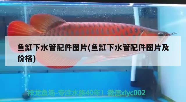 魚缸下水管配件圖片(魚缸下水管配件圖片及價格) 觀賞魚水族批發(fā)市場