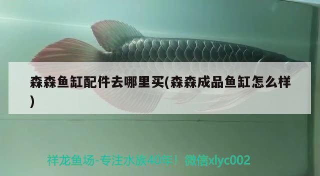 森森魚(yú)缸配件去哪里買(mǎi)(森森成品魚(yú)缸怎么樣)