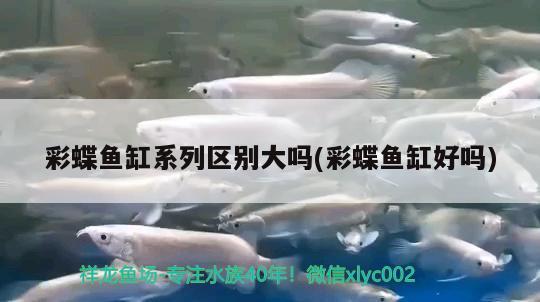 六角龍魚用深水還是淺水：六角龍魚水深會(huì)死嗎