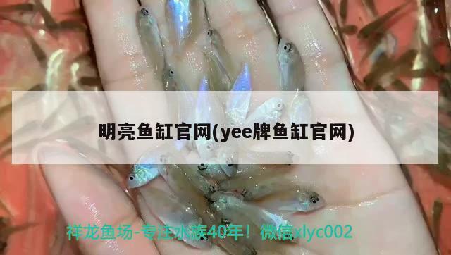 明亮魚缸官網(wǎng)(yee牌魚缸官網(wǎng)) yee