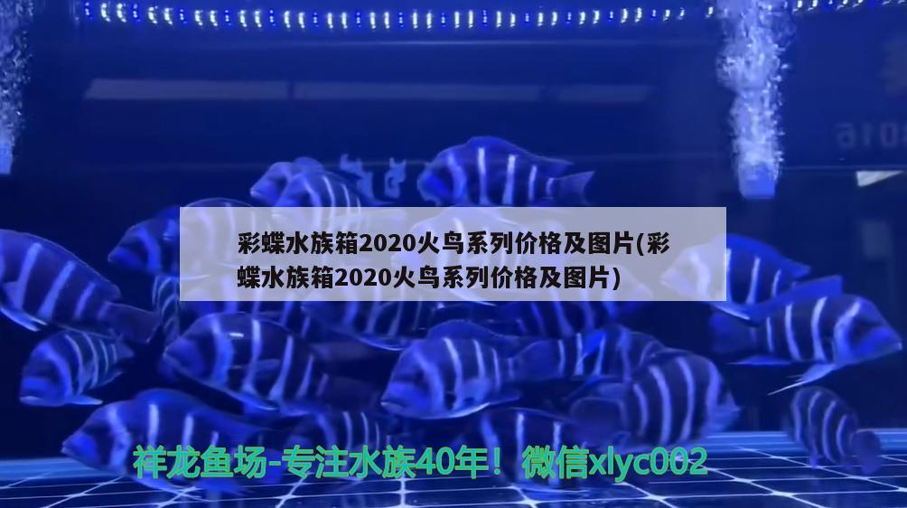 彩蝶水族箱2020火鳥系列價(jià)格及圖片(彩蝶水族箱2020火鳥系列價(jià)格及圖片) 魚缸/水族箱