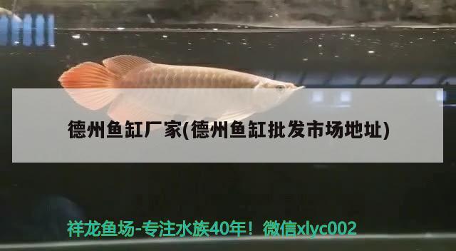 德州魚缸廠家(德州魚缸批發(fā)市場地址)