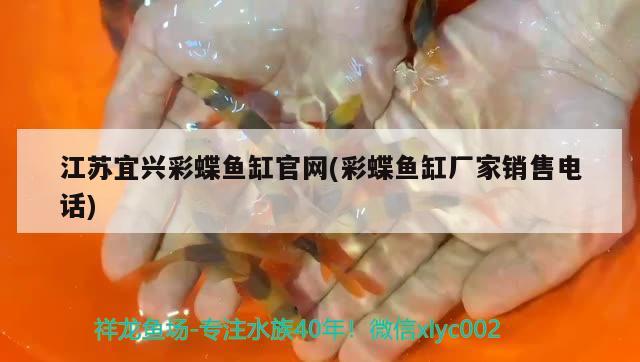 江蘇宜興彩蝶魚缸官網(wǎng)(彩蝶魚缸廠家銷售電話) 紅勾銀版魚 第2張