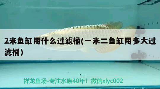 2米魚缸用什么過濾桶(一米二魚缸用多大過濾桶)