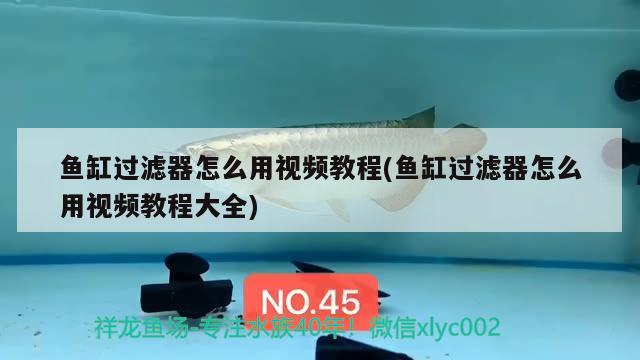 魚缸過濾器怎么用視頻教程(魚缸過濾器怎么用視頻教程大全)