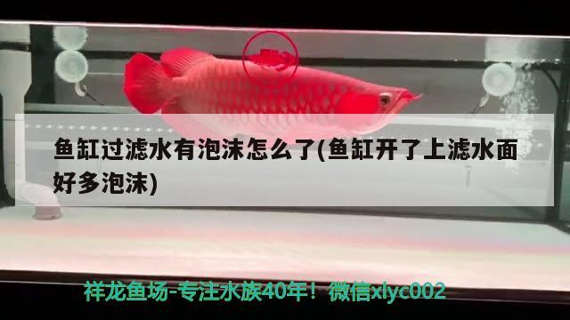 魚缸過濾水有泡沫怎么了(魚缸開了上濾水面好多泡沫)