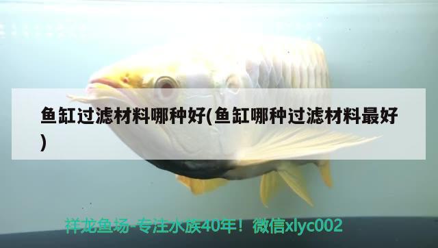 魚缸過濾材料哪種好(魚缸哪種過濾材料最好)