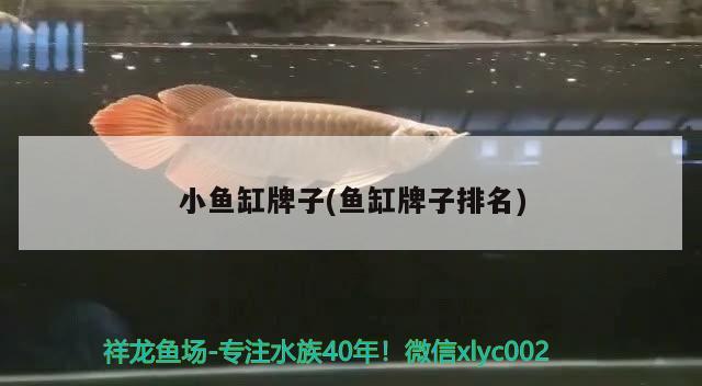 小魚缸牌子(魚缸牌子排名)