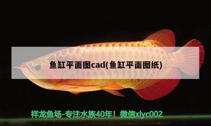 魚缸平面圖cad(魚缸平面圖紙)