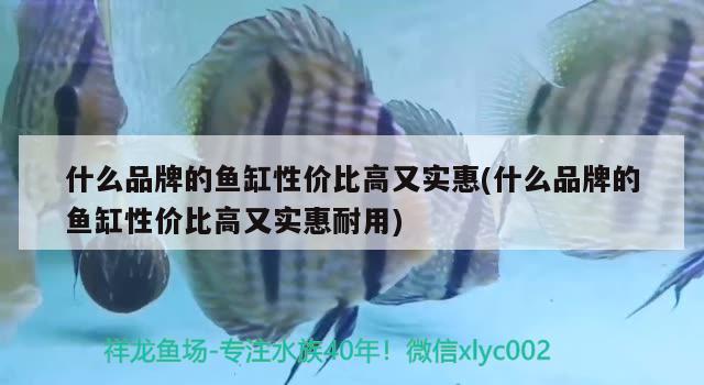 清水能養(yǎng)銅錢草嗎，銅錢草能不能作為水草種在魚缸里，大家給點意見唄