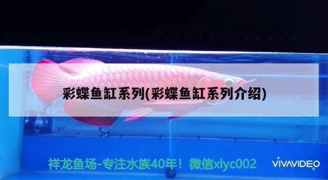 彩蝶魚缸系列(彩蝶魚缸系列介紹) 金三間魚