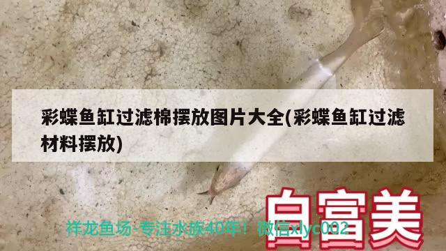 中國(guó)有幾艘自造航母了，我國(guó)總共有多少航母 觀賞魚(yú) 第2張