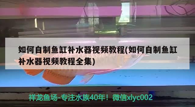 如何自制魚(yú)缸補(bǔ)水器視頻教程(如何自制魚(yú)缸補(bǔ)水器視頻教程全集) 廣州觀賞魚(yú)魚(yú)苗批發(fā)市場(chǎng)