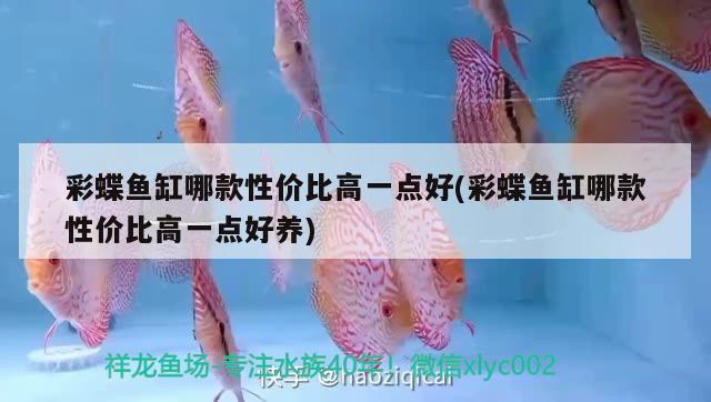 彩蝶魚缸哪款性價比高一點好(彩蝶魚缸哪款性價比高一點好養(yǎng))