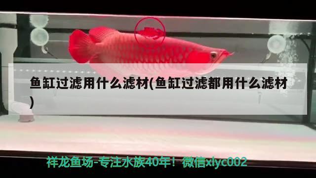 魚缸過濾用什么濾材(魚缸過濾都用什么濾材) 和尚魚