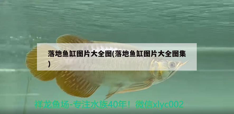 落地魚缸圖片大全圖(落地魚缸圖片大全圖集)