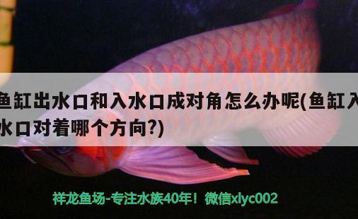 魚缸出水口和入水口成對角怎么辦呢(魚缸入水口對著哪個方向?) 黑水素