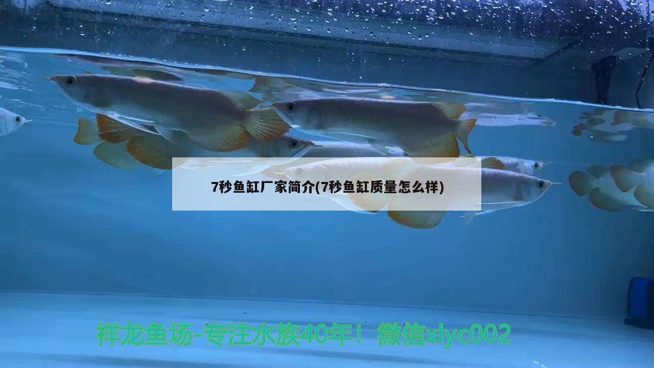 7秒魚缸廠家簡(jiǎn)介(7秒魚缸質(zhì)量怎么樣) 蝴蝶鯉