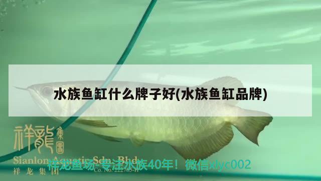 水族魚缸什么牌子好(水族魚缸品牌) 撒旦鴨嘴魚 第2張