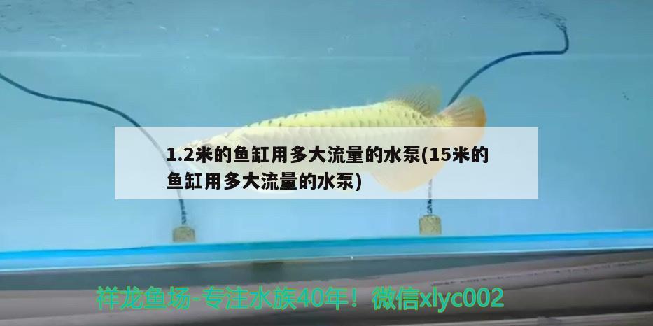 1.2米的魚缸用多大流量的水泵(15米的魚缸用多大流量的水泵)