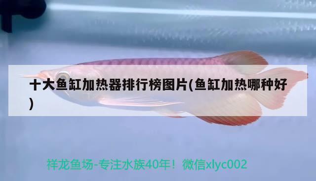 黑武士是什么車，最香的選擇——愛車途銳黑武士提車記