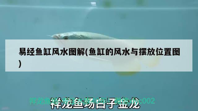 易經(jīng)魚缸風水圖解(魚缸的風水與擺放位置圖) 魚缸風水