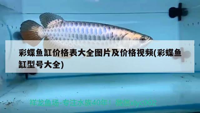 彩蝶魚缸價(jià)格表大全圖片及價(jià)格視頻(彩蝶魚缸型號(hào)大全) 白子關(guān)刀魚苗