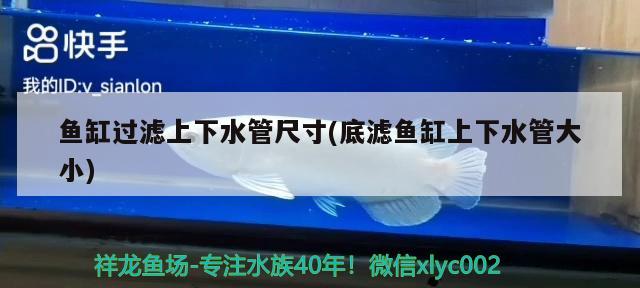 赤峰觀賞魚市場新城地址在哪兒的介紹，北京赤峰觀賞魚市場新城地址在哪兒觀賞魚市場地址在哪兒 觀賞魚市場（混養(yǎng)魚） 第2張