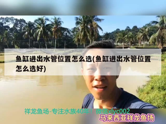 魚缸進出水管位置怎么選(魚缸進出水管位置怎么選好) B級過背金龍魚