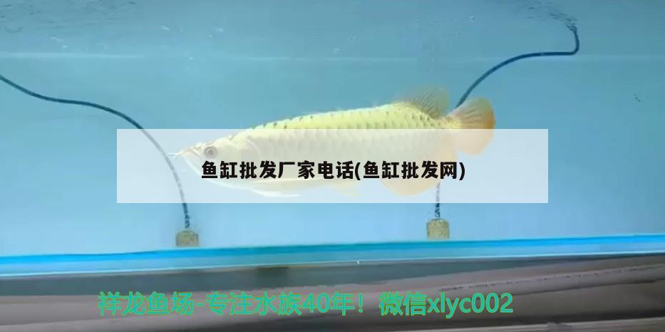 魚缸批發(fā)廠家電話(魚缸批發(fā)網(wǎng))