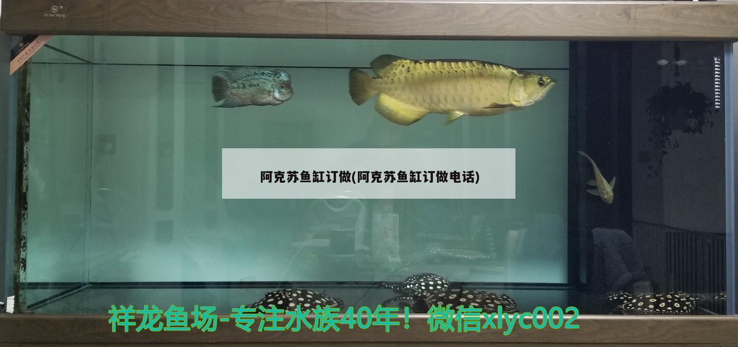 阿克蘇魚缸訂做(阿克蘇魚缸訂做電話) 魚缸水質(zhì)穩(wěn)定劑