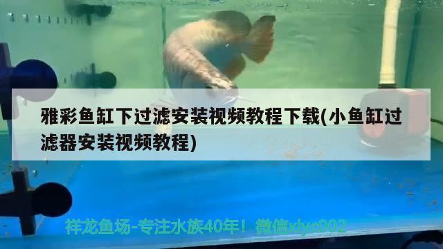 雅彩魚缸下過濾安裝視頻教程下載(小魚缸過濾器安裝視頻教程) 水溫計