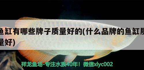 魚(yú)缸有哪些牌子質(zhì)量好的(什么品牌的魚(yú)缸質(zhì)量好) 龍魚(yú)百科