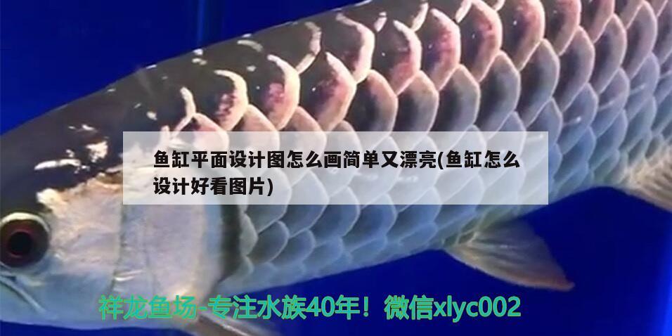 廢舊水桶改造魚缸（廢舊水桶改造魚缸圖片） 黃金斑馬魚