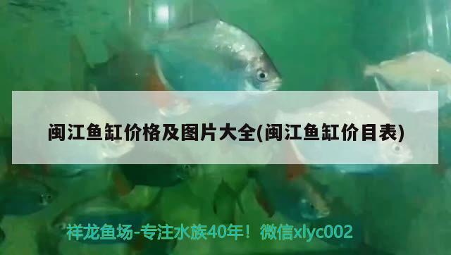 閩江魚(yú)缸價(jià)格及圖片大全(閩江魚(yú)缸價(jià)目表)