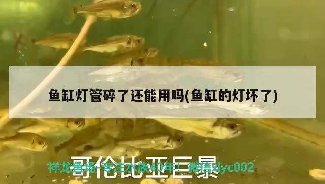 魚缸燈管碎了還能用嗎(魚缸的燈壞了)