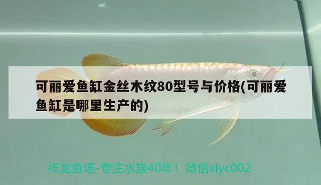 可麗愛魚缸金絲木紋80型號(hào)與價(jià)格(可麗愛魚缸是哪里生產(chǎn)的)