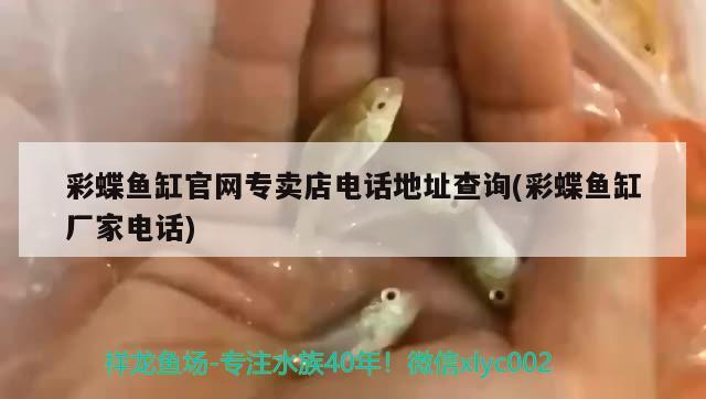 彩蝶魚缸官網(wǎng)專賣店電話地址查詢(彩蝶魚缸廠家電話) 觀賞魚批發(fā)