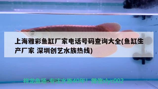 上海雅彩魚缸廠家電話號碼查詢大全(魚缸生產(chǎn)廠家深圳創(chuàng)藝水族熱線) 帝王血鉆