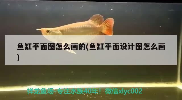 魚缸平面圖怎么畫的(魚缸平面設計圖怎么畫)