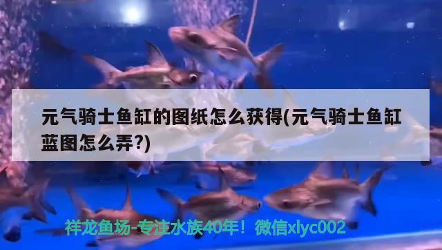 元氣騎士魚缸的圖紙怎么獲得(元氣騎士魚缸藍圖怎么弄?)