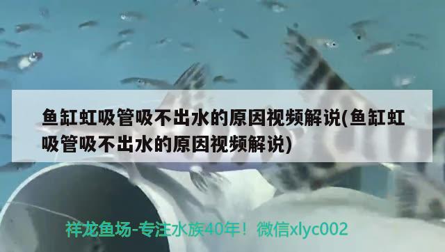 魚缸虹吸管吸不出水的原因視頻解說(魚缸虹吸管吸不出水的原因視頻解說)