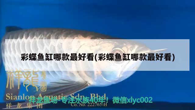 彩蝶魚缸哪款最好看(彩蝶魚缸哪款最好看)