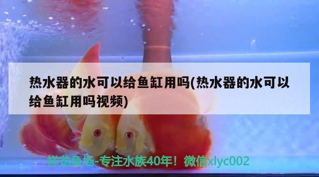 熱水器的水可以給魚缸用嗎(熱水器的水可以給魚缸用嗎視頻)