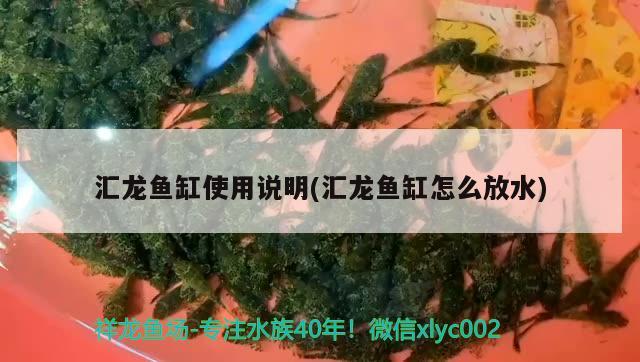 匯龍魚缸使用說明(匯龍魚缸怎么放水)