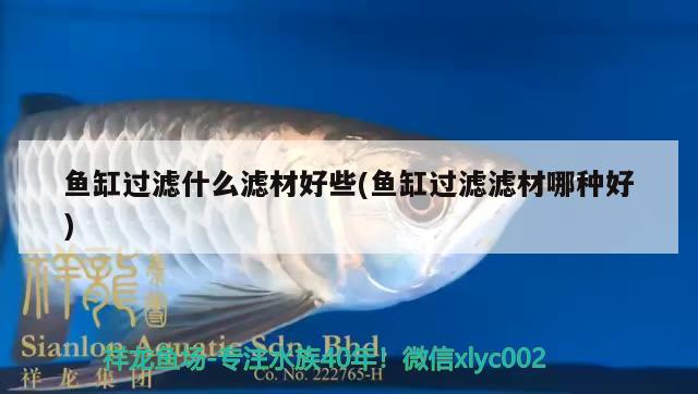 魚缸過濾什么濾材好些(魚缸過濾濾材哪種好) 觀賞魚水族批發(fā)市場(chǎng)