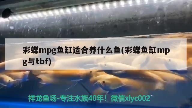 昭通水族批發(fā)市場(chǎng)求解決