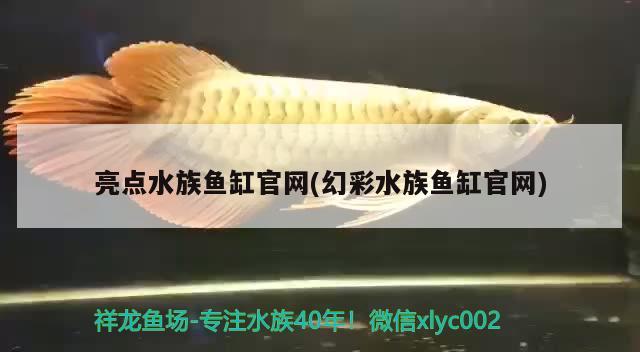 亮點水族魚缸官網(wǎng)(幻彩水族魚缸官網(wǎng)) 狗仔招財貓魚