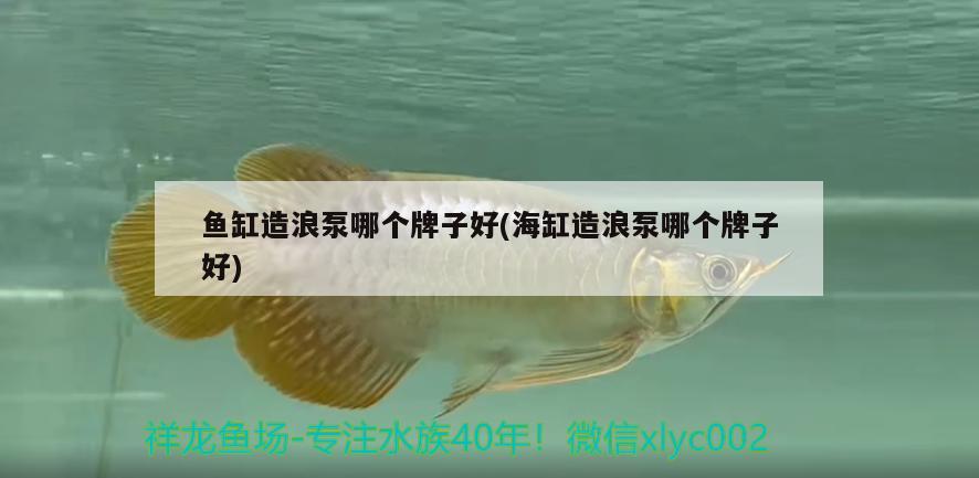 老魚匠造浪泵拆解（老魚匠造浪泵怎么安裝） 老魚匠 第1張